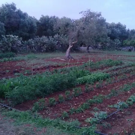Contradapetri Homestay Specchia